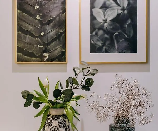 Nice Sopot Daire Sopot