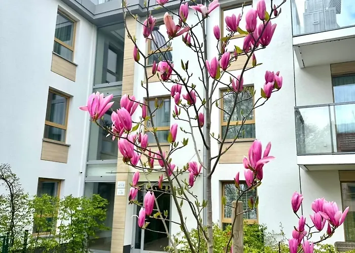 Nice Sopot * סופוט